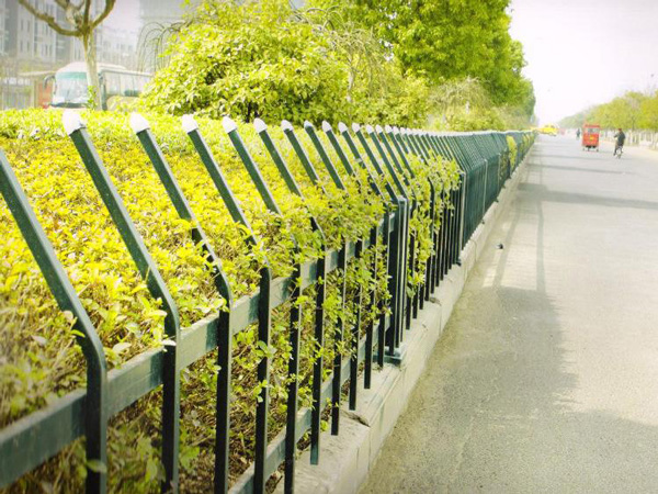 1685346563324092565.jpg 53.jpg